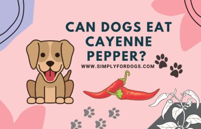 Can-Dogs-Eat-Cayenne-Pepper