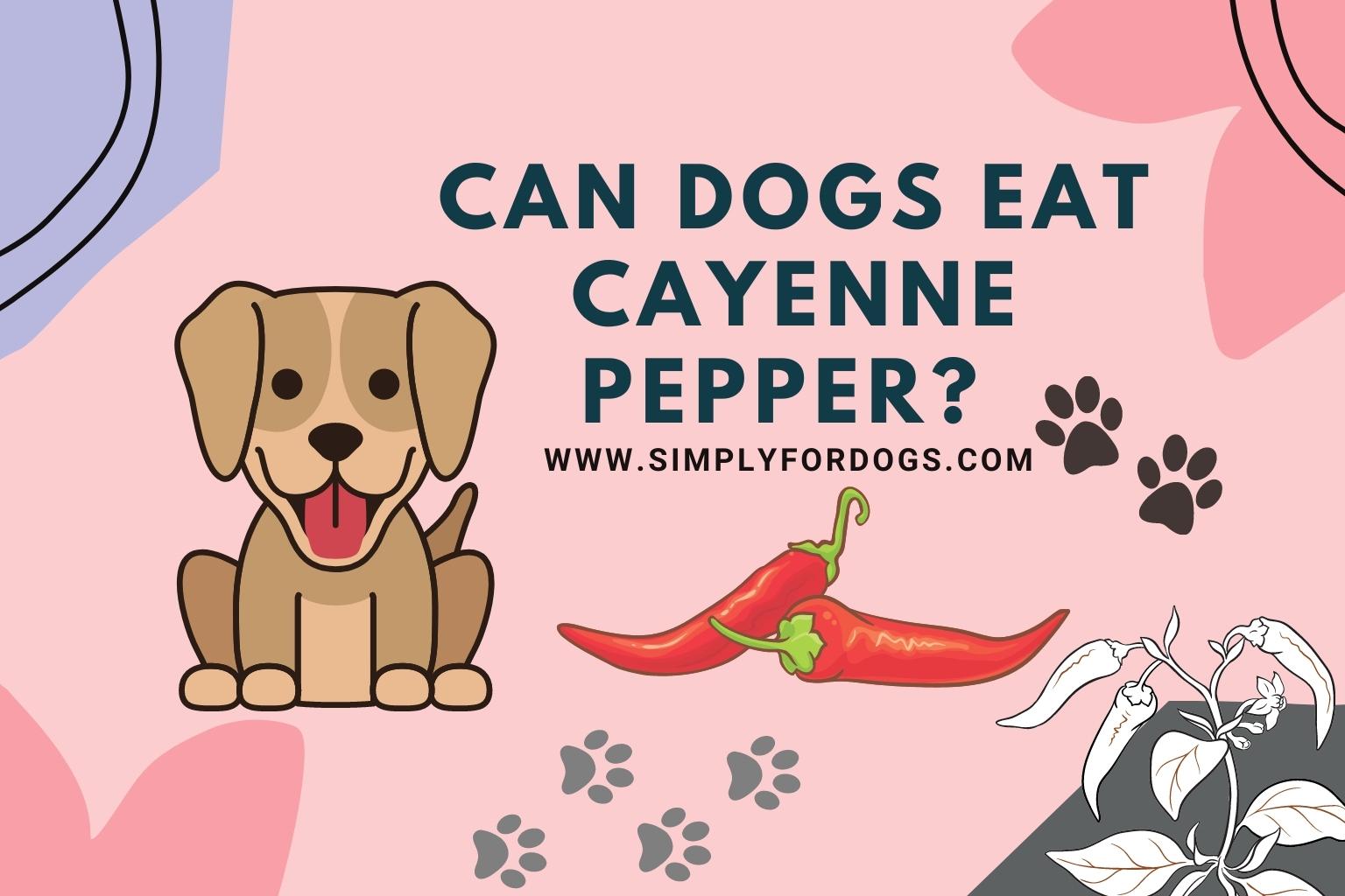 Can-Dogs-Eat-Cayenne-Pepper