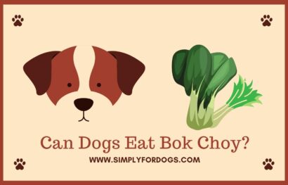Can-Dogs-Eat-Bok-Choy