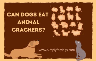 Can-Dogs-Eat-Animal-Crackers