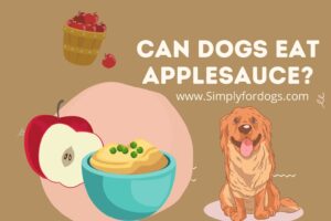 Can-Dogs-Eat-Applesauce
