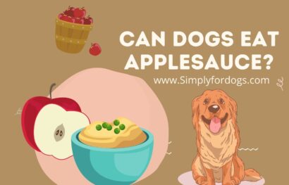 Can-Dogs-Eat-Applesauce
