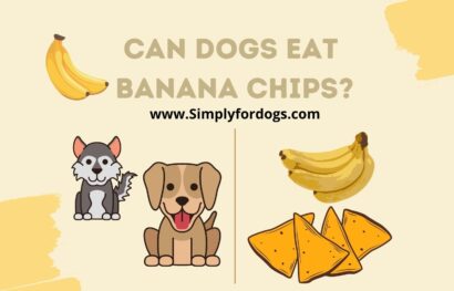 Can-Dogs-Eat-Banana-Chips