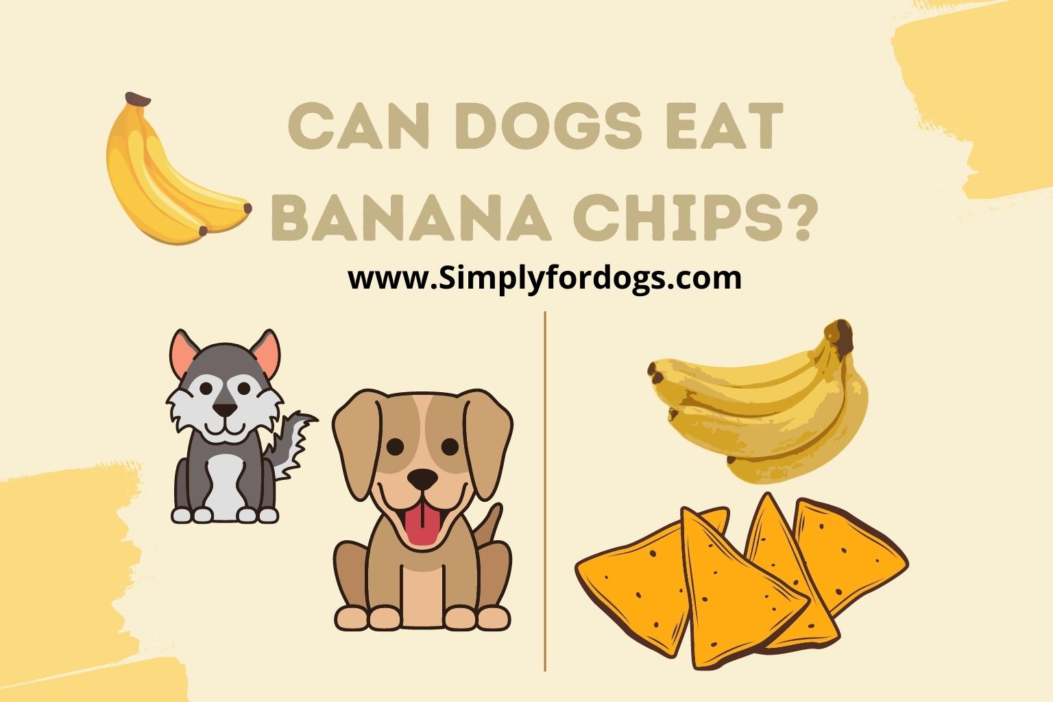 Can-Dogs-Eat-Banana-Chips