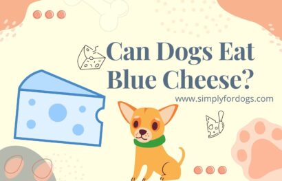 Can-Dogs-Eat-Blue-Cheese