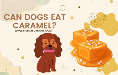 Can-Dogs-Eat-Caramel