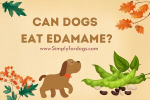 Can-Dogs-Eat-Edamame