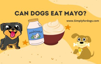 Can-Dogs-Eat-Mayo