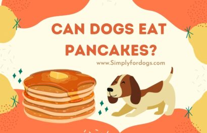 Can-Dogs-Eat-Pancakes