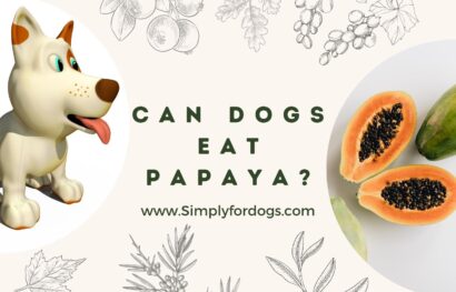 Can-Dogs-Eat-Papaya