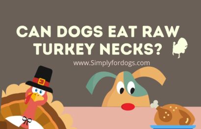 Can-Dogs-Eat-Raw-Turkey-Necks