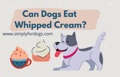 Can-Dogs-Eat-Whipped-Cream
