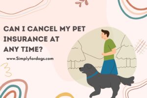 Can-I-cancel-My-Pet-Insurance-At-Any-Time