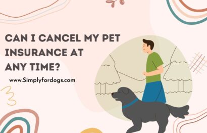 Can-I-cancel-My-Pet-Insurance-At-Any-Time