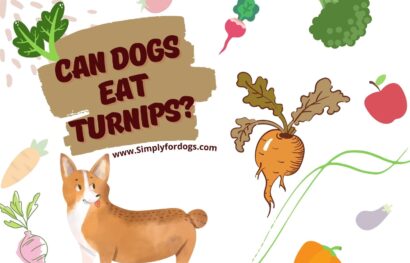Can-dogs-eat-Trunips