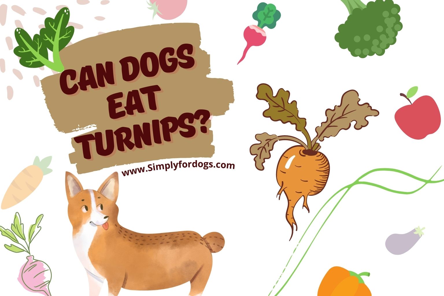 Can-dogs-eat-Trunips