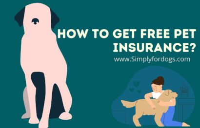 How-To-Get-Free-Pet-Insurance