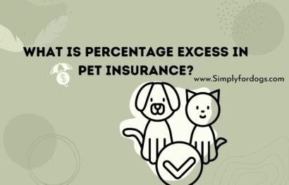 What-Is-Percentage-Excess-In-Pet-Insurance