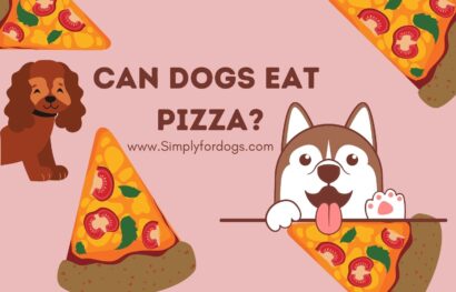 can-dog-eat-pizza