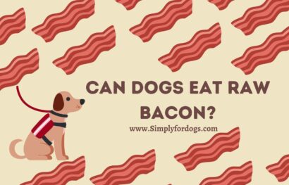 can-dogs-eat-Raw-Bacon