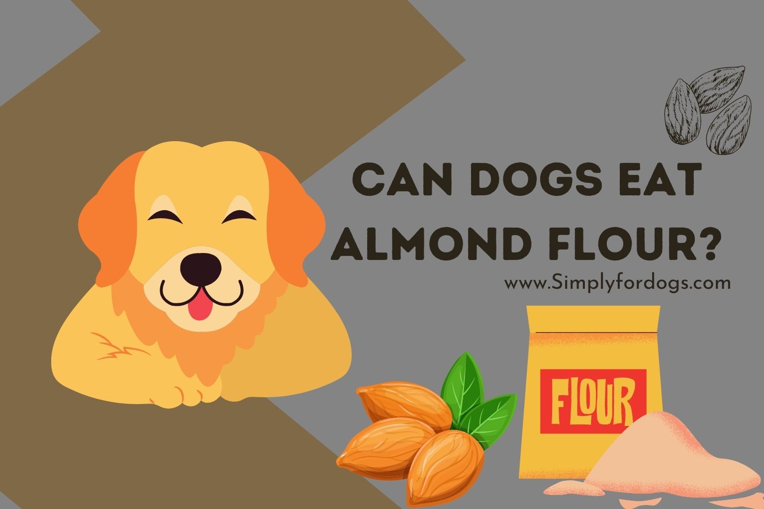 can-dogs-eat-almond-flour