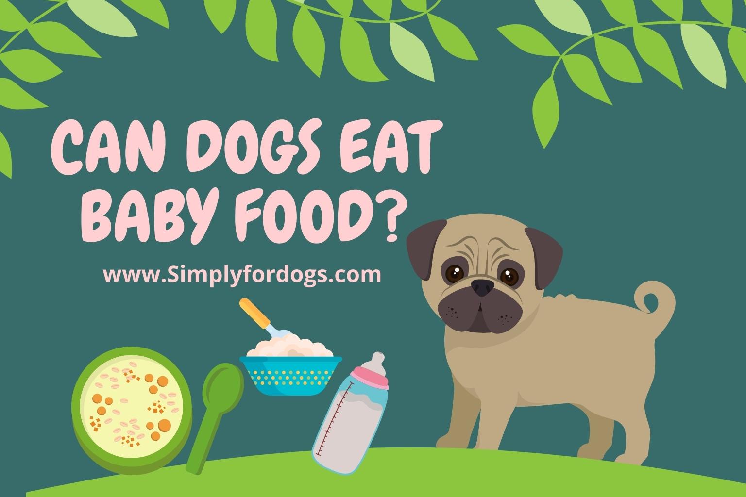 can-dogs-eat-baby-food