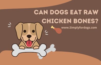 can-dogs-eat-raw-chicken-bones