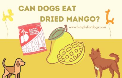 can-dogs-eat-dried-mango