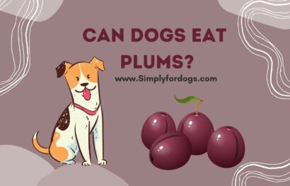 can-dogs-eat-plums