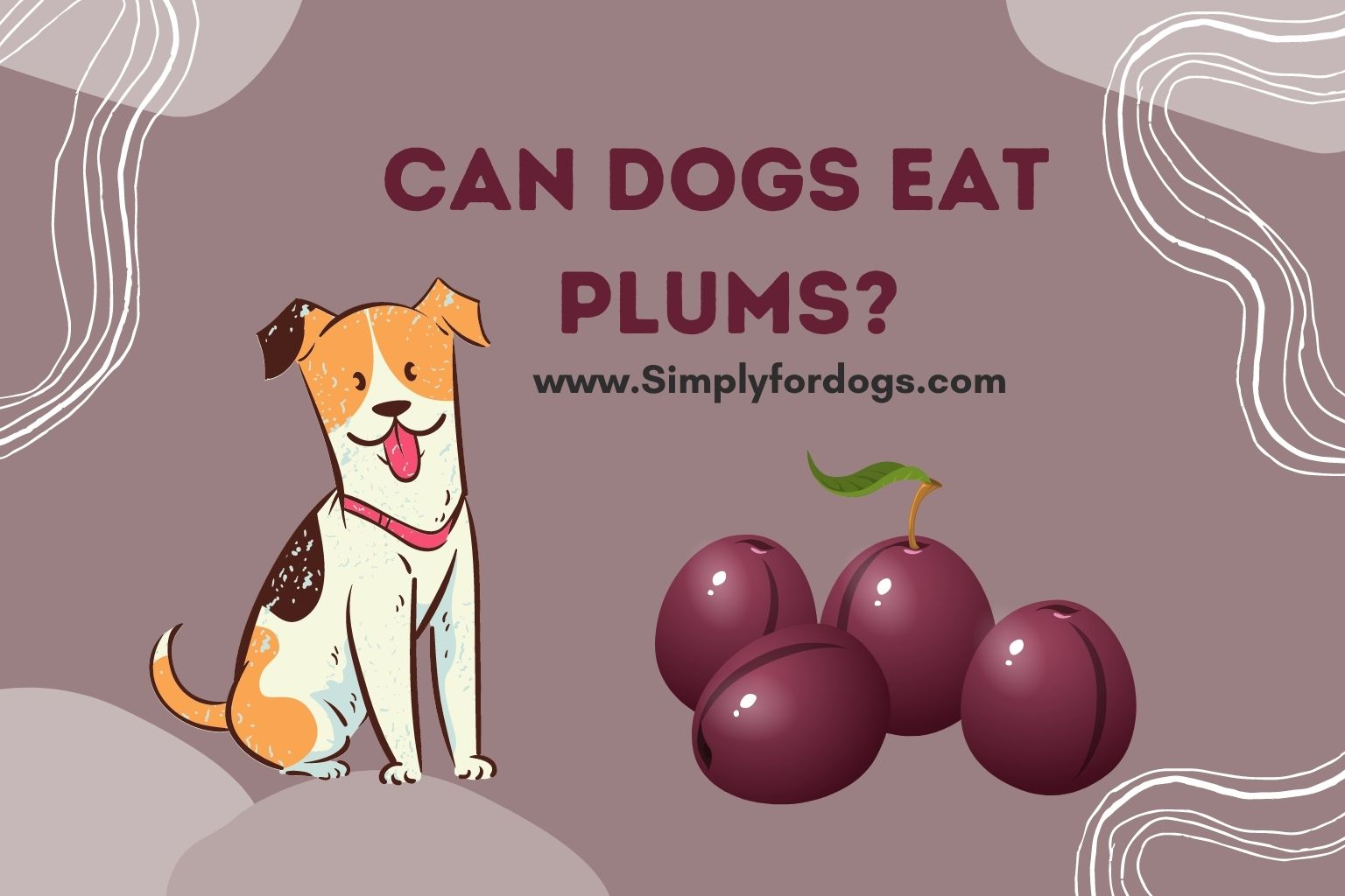 can-dogs-eat-plums