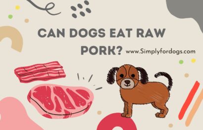 can-dogs-eat-raw-pork