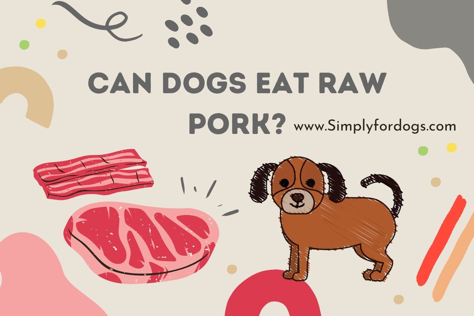 can-dogs-eat-raw-pork