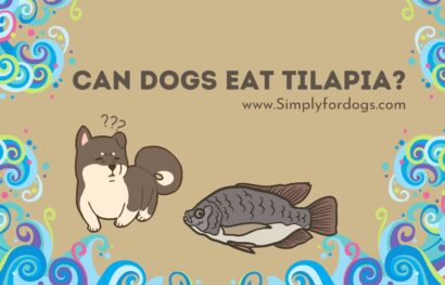can-dogs-eat-tilapia