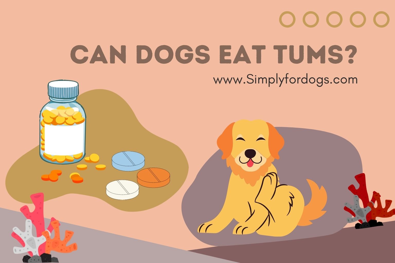 can-dogs-eat-tums
