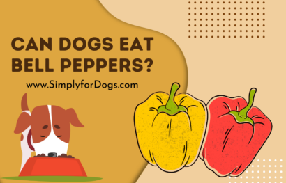 Can Dogs Eat Bell Peppers