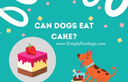 Can-Dogs-Eat-Cake