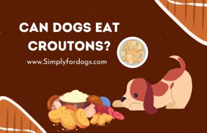 Can-Dogs-Eat-Croutons