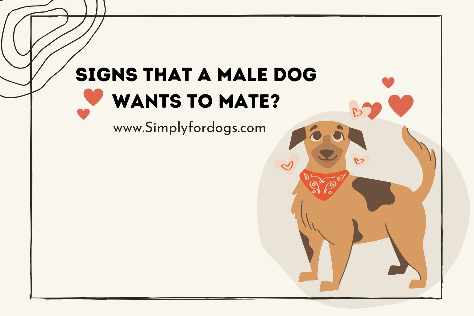 Signs-That-a-Male-Dog-Wants-to-Mate