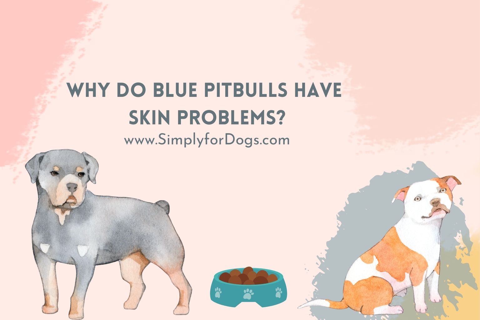 Why-Do-Blue-Pitbulls-Have-Skin-Problems