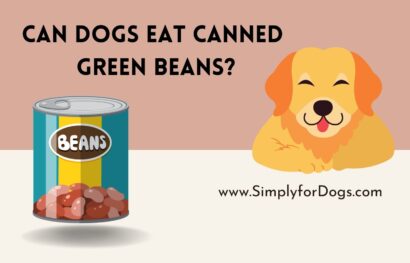 can-dogs-eat-canned-green-beans