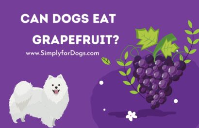 can dogs eat grapefruit