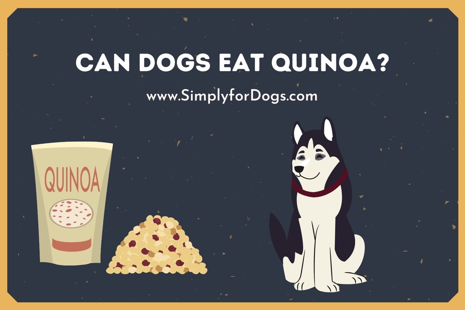 can dogs eat quinoa