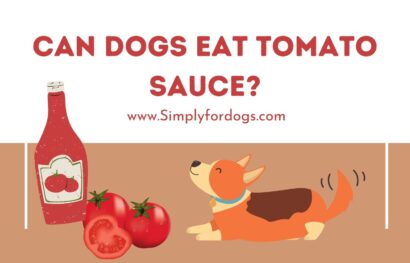 can-dogs-eat-tomato-sauce