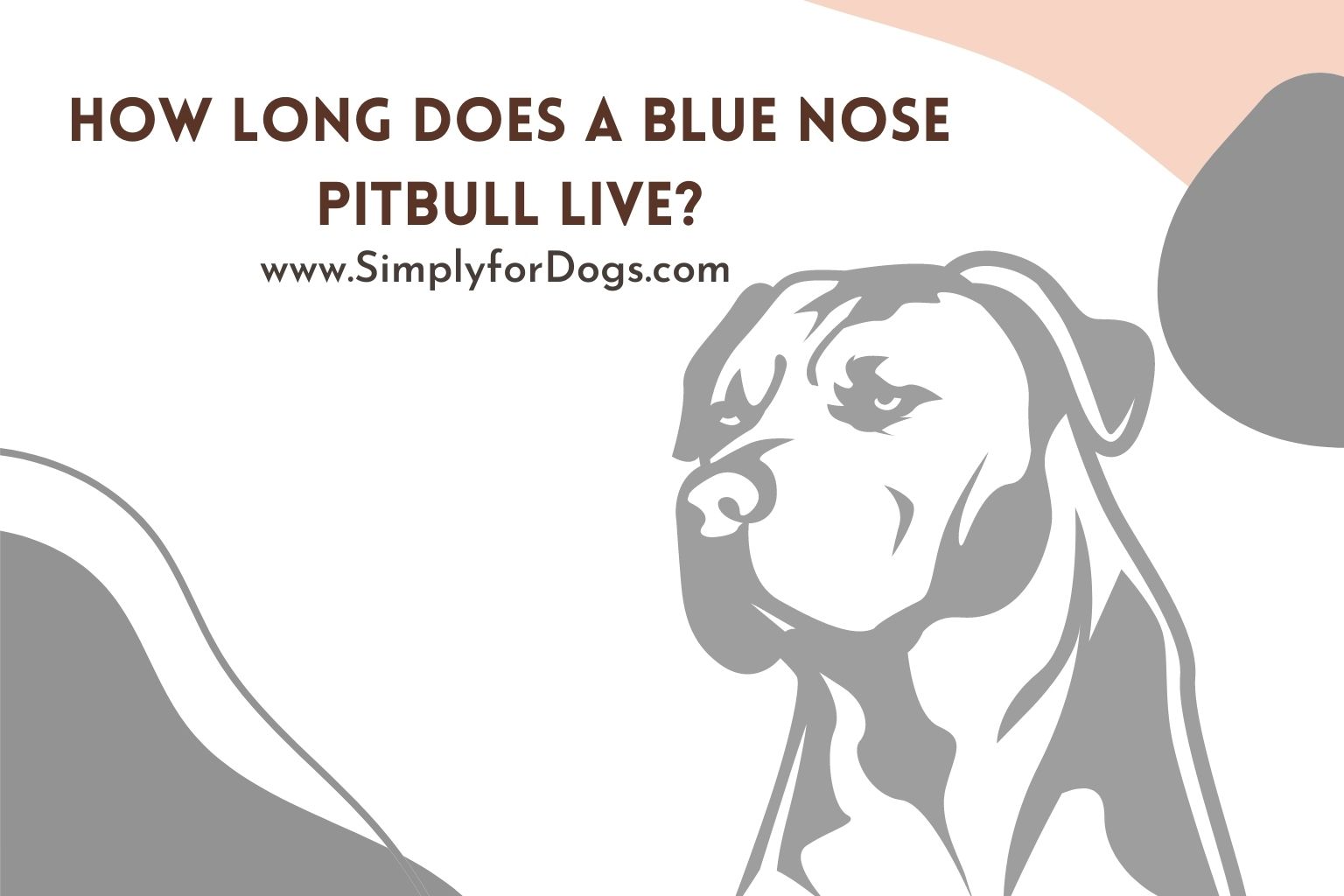 how-long-does-a-blue-nose-pitbull-live