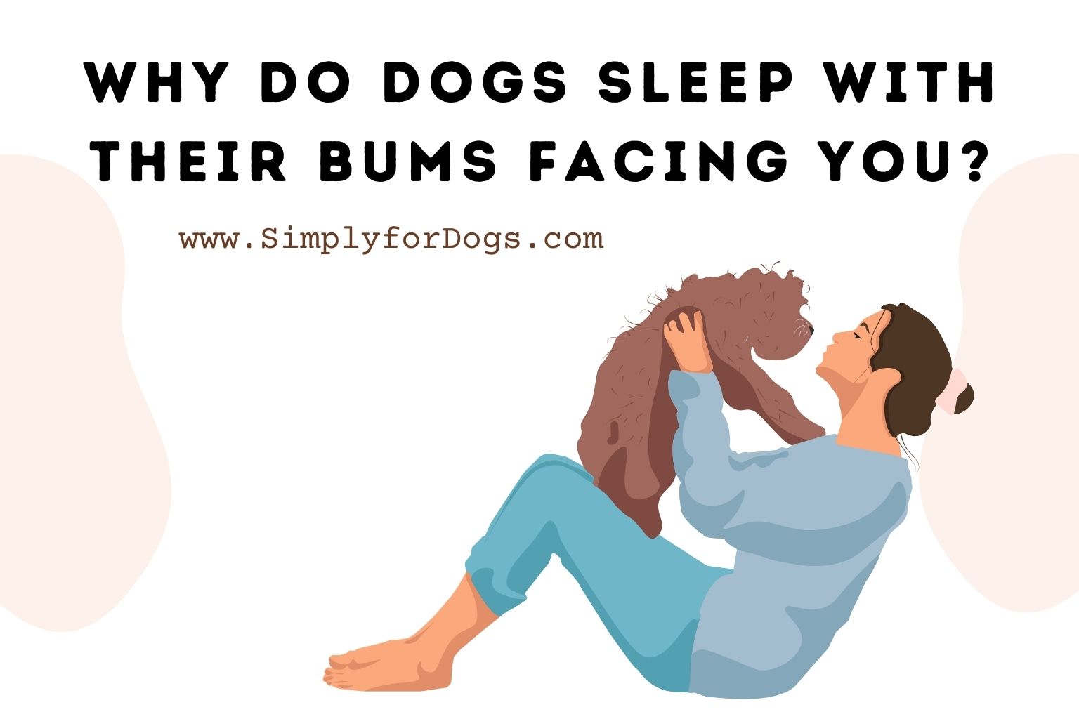 Why Do Dogs Sleep With Their Bums Facing You_