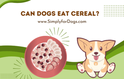 can dogs eat cereal