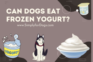 can dogs eat frozen yogurt