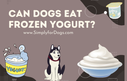 can dogs eat frozen yogurt