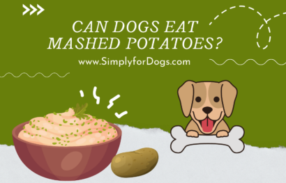 can dogs eat mashed potatoes