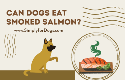 can dogs eat smoked salmon